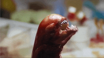 Alien GIF