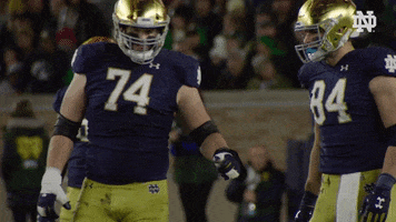 Notre Dame Fist Bump GIF by Notre Dame Fighting Irish