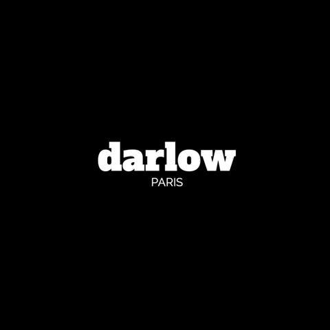 darlowparis logo web agency agence web darlow GIF