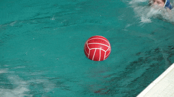 Fail Water Polo GIF by Wasserballklub Thun