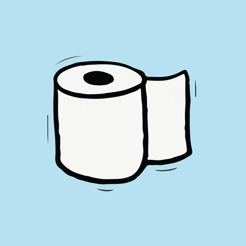Nick toilet toilet paper GIF