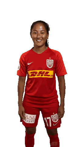 FC Nordsjaelland Sticker