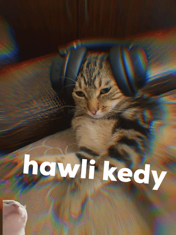 Cats GIF