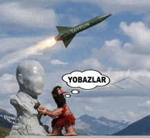 Reis Chp GIF