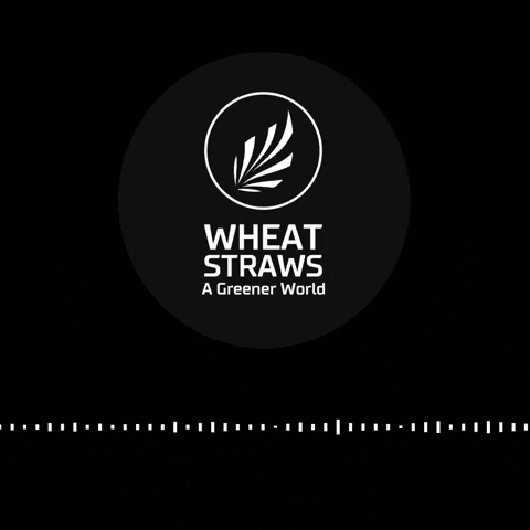 wheatandstraws wheat straws GIF