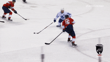 Hockey Cats GIF by Florida Panthers