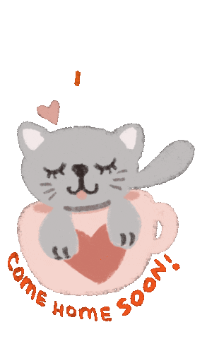 Cat Sticker