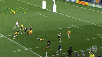 New Zealand All Blacks Wow GIF by Rugby World Cup