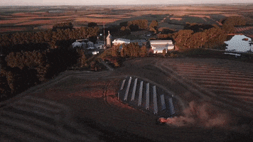 Sementes Cerquinha GIF