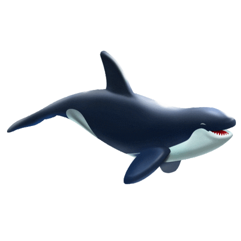 Dream Big Killer Whale Sticker by Fin Fun Mermaid