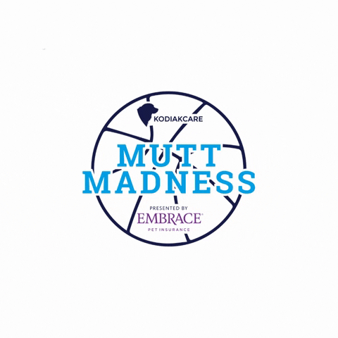 Muttmadness Kodiakcare Embracepetinsurance GIF by Embrace Pet Insurance