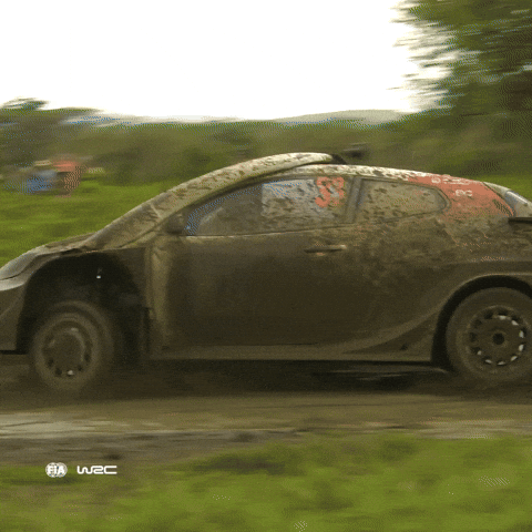 Getting Dirty Game Over GIF by FIA World Rally Championship