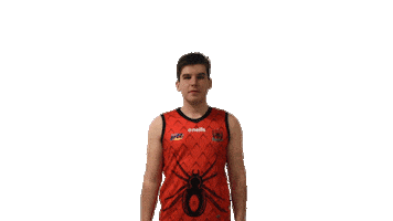 Afl Redbacks Sticker by Frankfurt Football Club