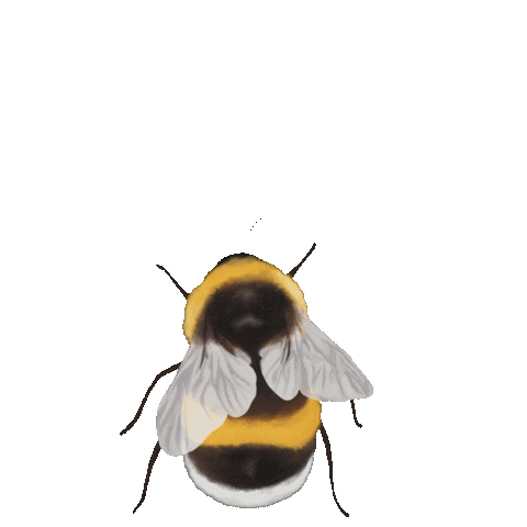 Bee Sticker