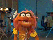 The-muppets GIFs - Get the best GIF on GIPHY