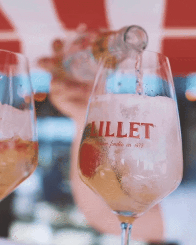 lilletofficial cheers sante lillet lilletmoments GIF