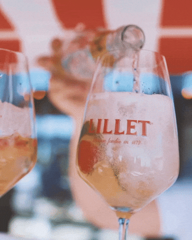 lilletofficial cheers sante lillet lilletmoments GIF
