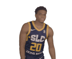 SLC Stars Sticker