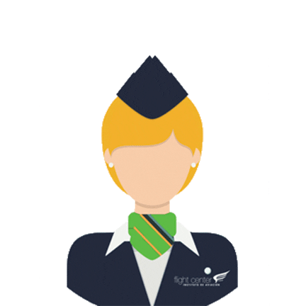 Flight Center Instituto de aviación Sticker