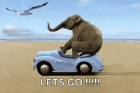 Let S Go GIF by memecandy