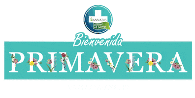 Sol Flores Sticker by Annabis Chile