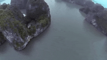 Idea Distribution LLC GIF