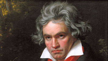 Beethoven GIF by euronews