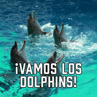 ¡Vamos Los Dolphins!