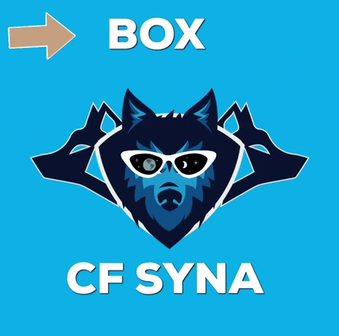 Cfsynaoculos GIF by CF Syna