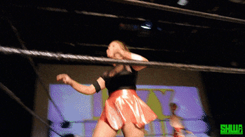 Princess Sweetheart GIF by SHWA Wrestling