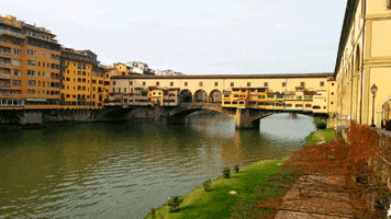 italy florence GIF
