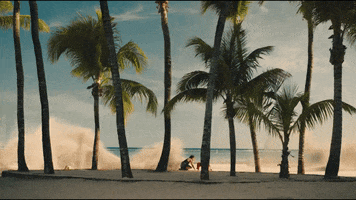 Palm Trees Beach GIF by Bacardi