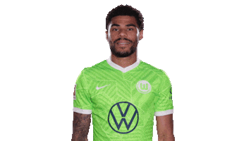 Football Love Sticker by VfL Wolfsburg