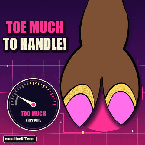 Too Much To Handle GIF by CamelToe