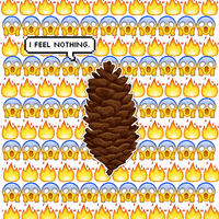 200.gif?cid=fc005b083dc5583ecef63959d009d075ff5573f6d8335255&rid=200.gif&ct=g
