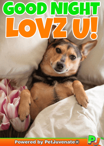 PetJuvenate - PJ GIF