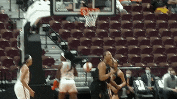 Las Vegas Reaction GIF by WNBA