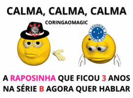 Copa Do Brasil Corinthians GIF