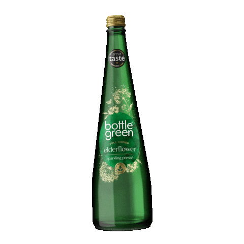 ShloerBGRocks Sticker