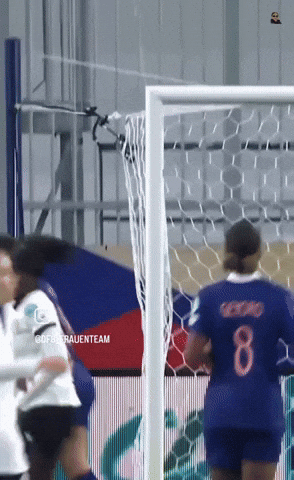 Goal Tor GIF