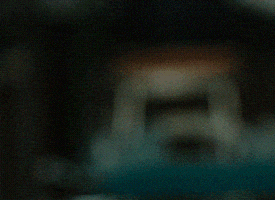 moserkevin  GIF