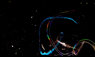 plankton GIF by Caitlin Burns