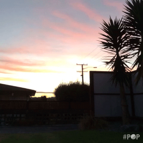 new zealand GIF by GoPop