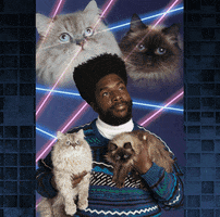 Cats Lazers GIF by Okayplayer