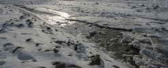 flowing water snow GIF by Jerology