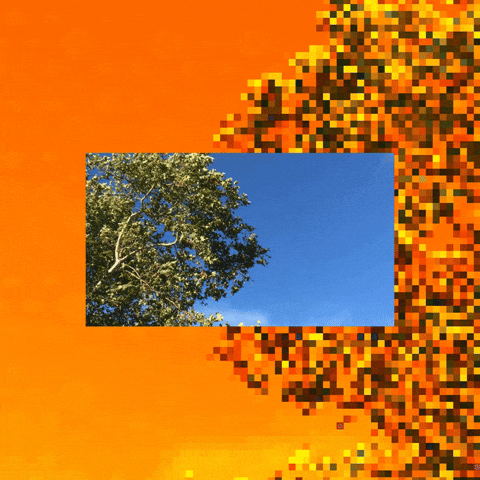 Visuals GIF by jaydr.1
