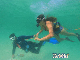 karenzanella  GIF