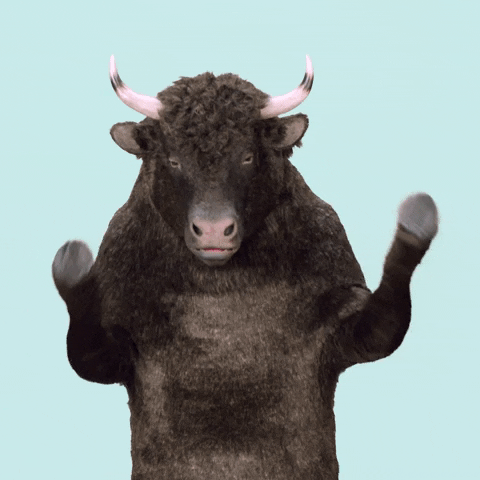 Bull What GIF by credible