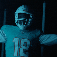 Lets Get It Nfl GIF by Miami Dolphins