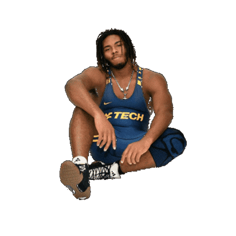 Wrestling Sticker by WVU Tech Golden Bears